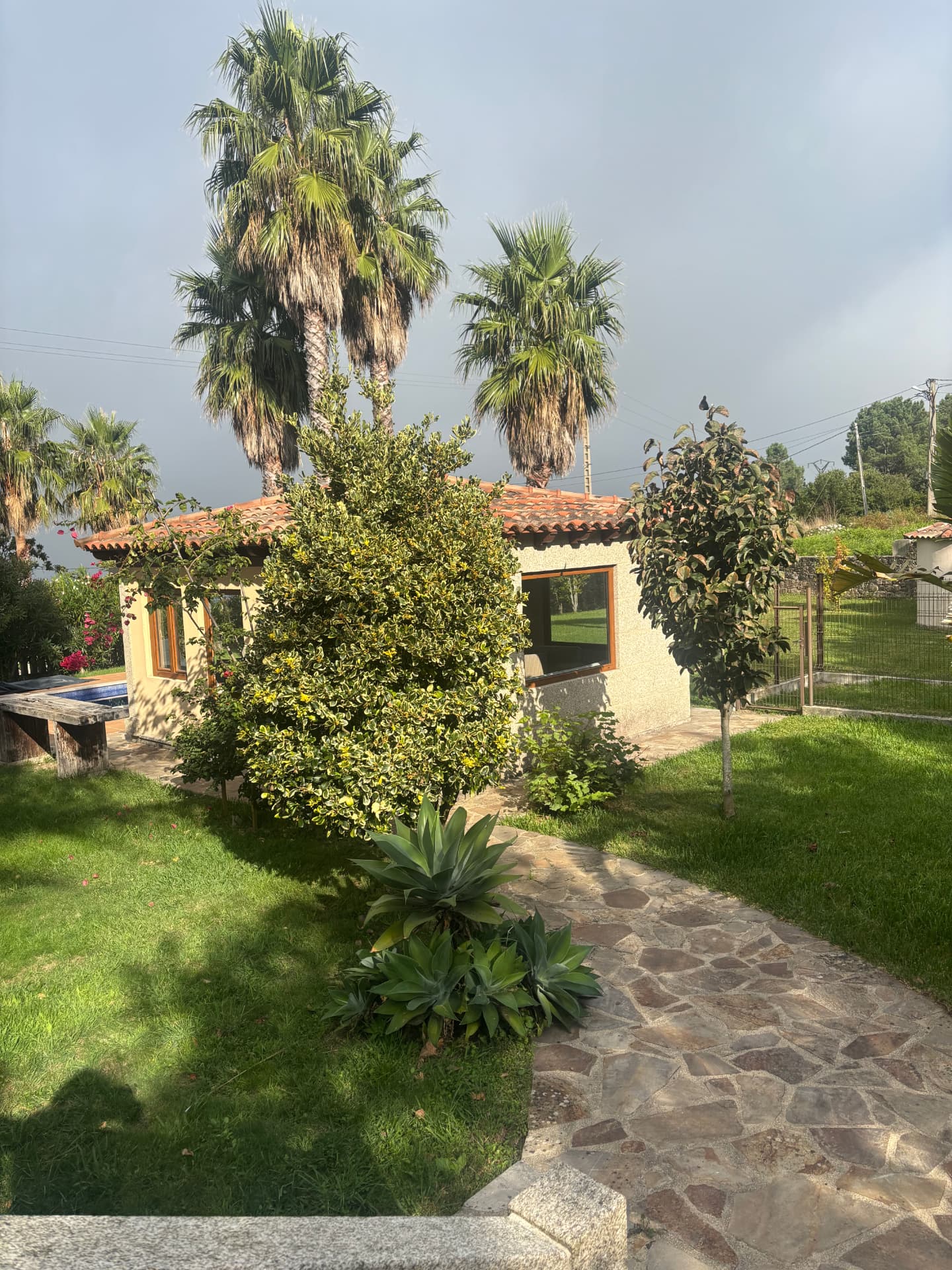 Galician home with palm trees, a natural stone path and a pool