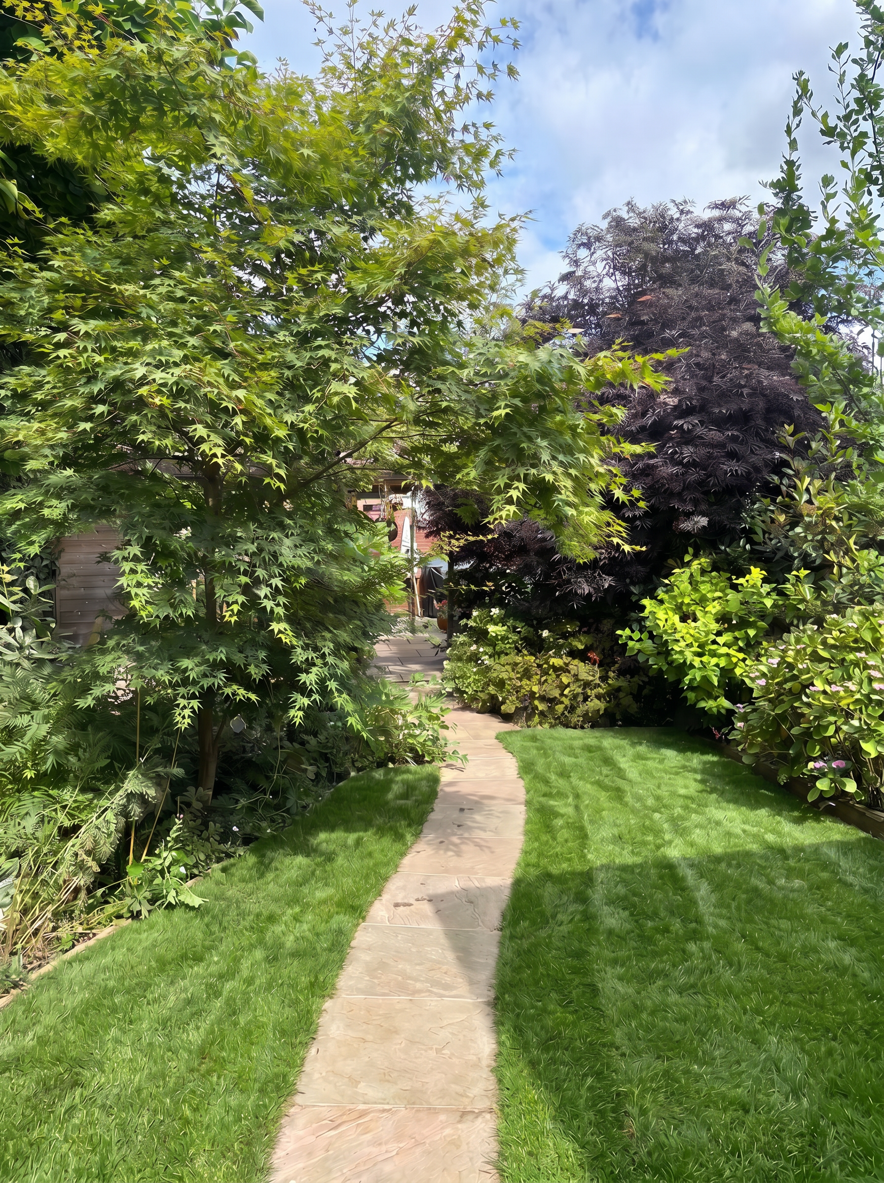 Curved stone path leading through mixed planting and Japanese maples