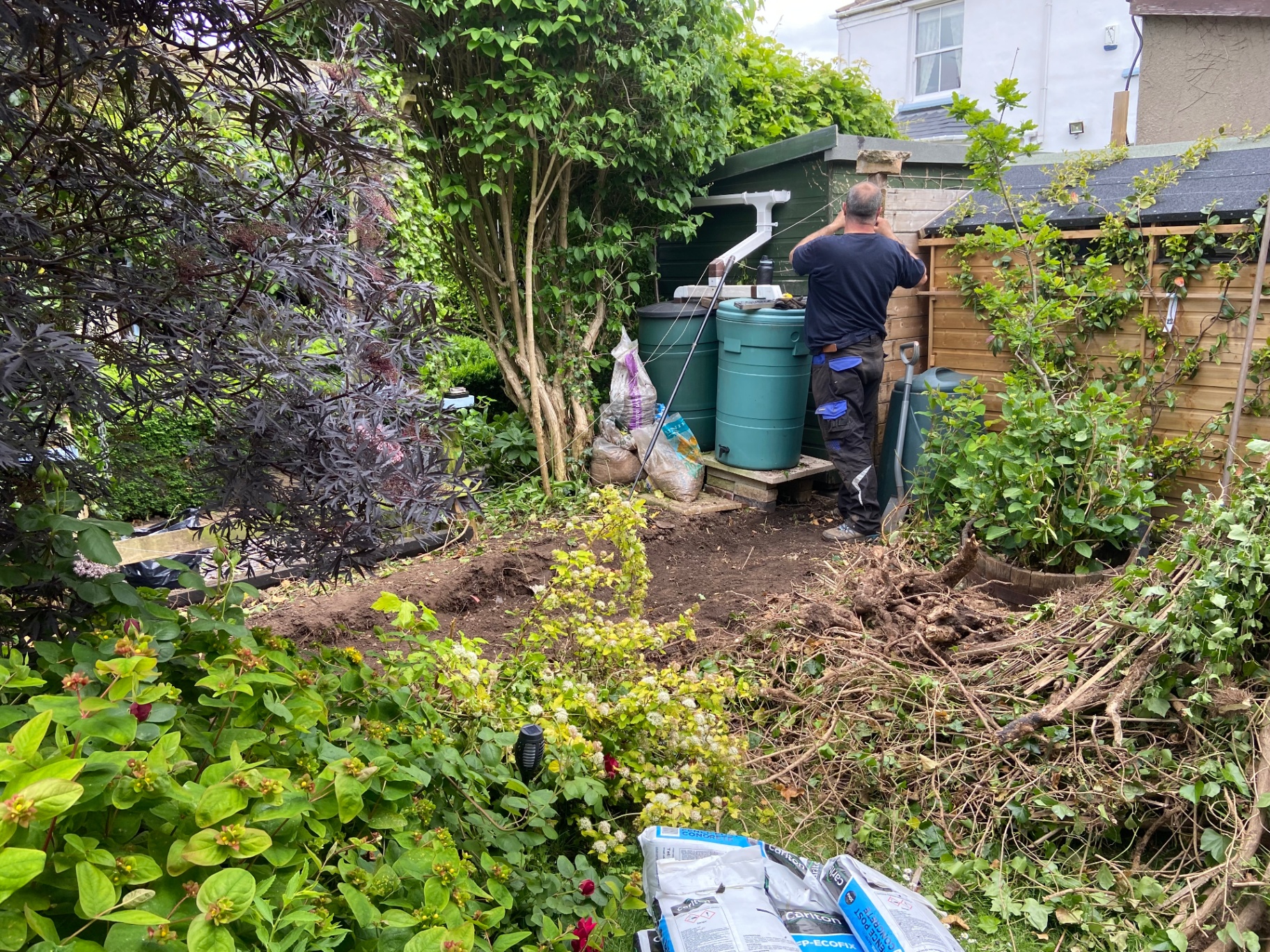 Overgrown Galician garden before clearance
