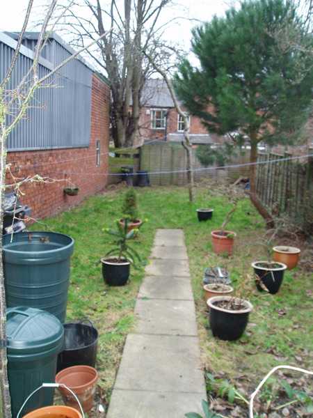 Small urban back garden with potted plants and worn lawn before Sil Landscapes redesign